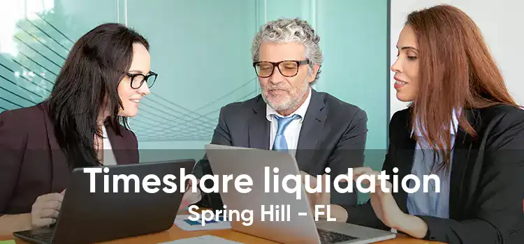 Timeshare liquidation Spring Hill - FL